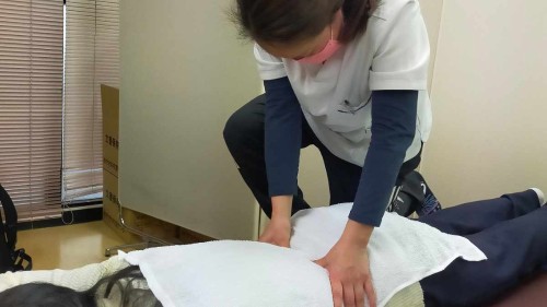 そらいろらいふ そらいろマッサージ治療院の正社員 あん摩マッサージ指圧師 訪問マッサージ・訪問鍼灸求人イメージ