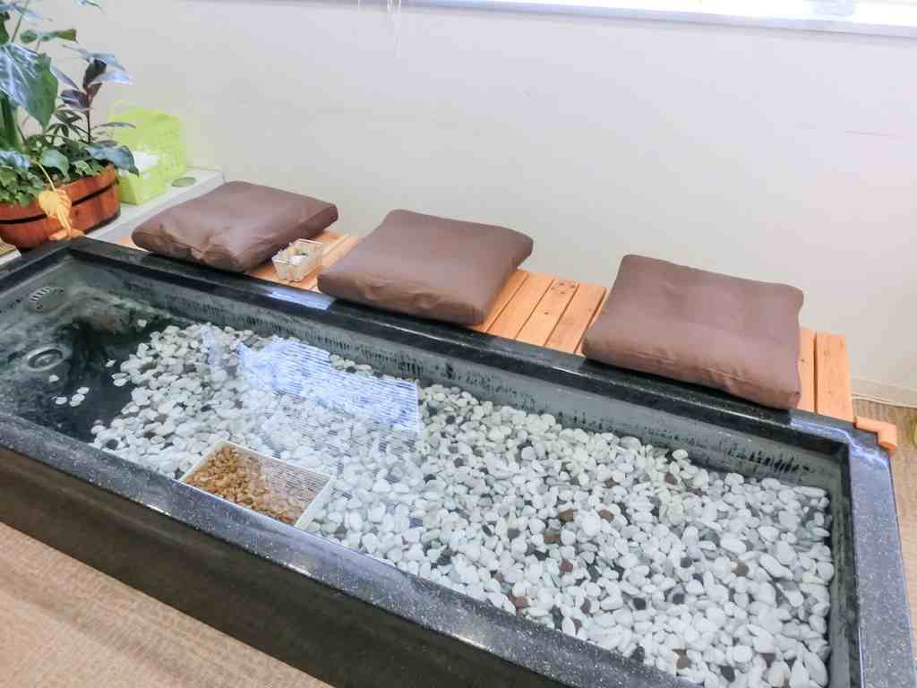 HCCの正社員 柔道整復師 接骨院・整骨院 鍼灸整骨院の求人情報イメージ2